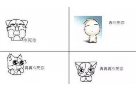 银行内部投诉催收电话：了解您的权益与应对策略
